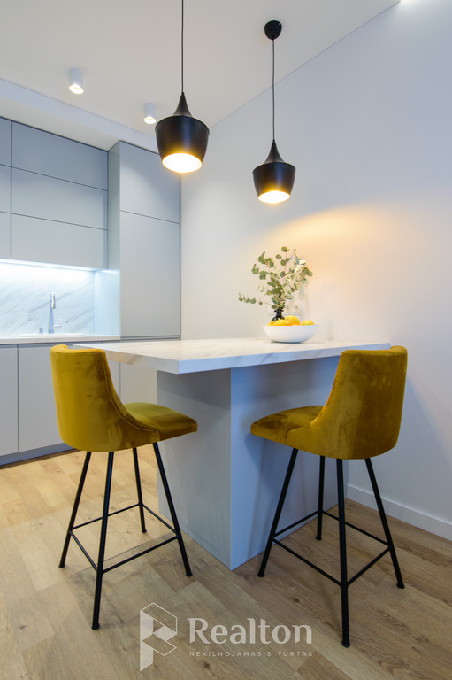 Nuomojamas puikiai įrengtas dviejų kambarių butas Naujamiestyje su parkavimo vieta po namu "Šaltinių namai" projekte.-image-295279921