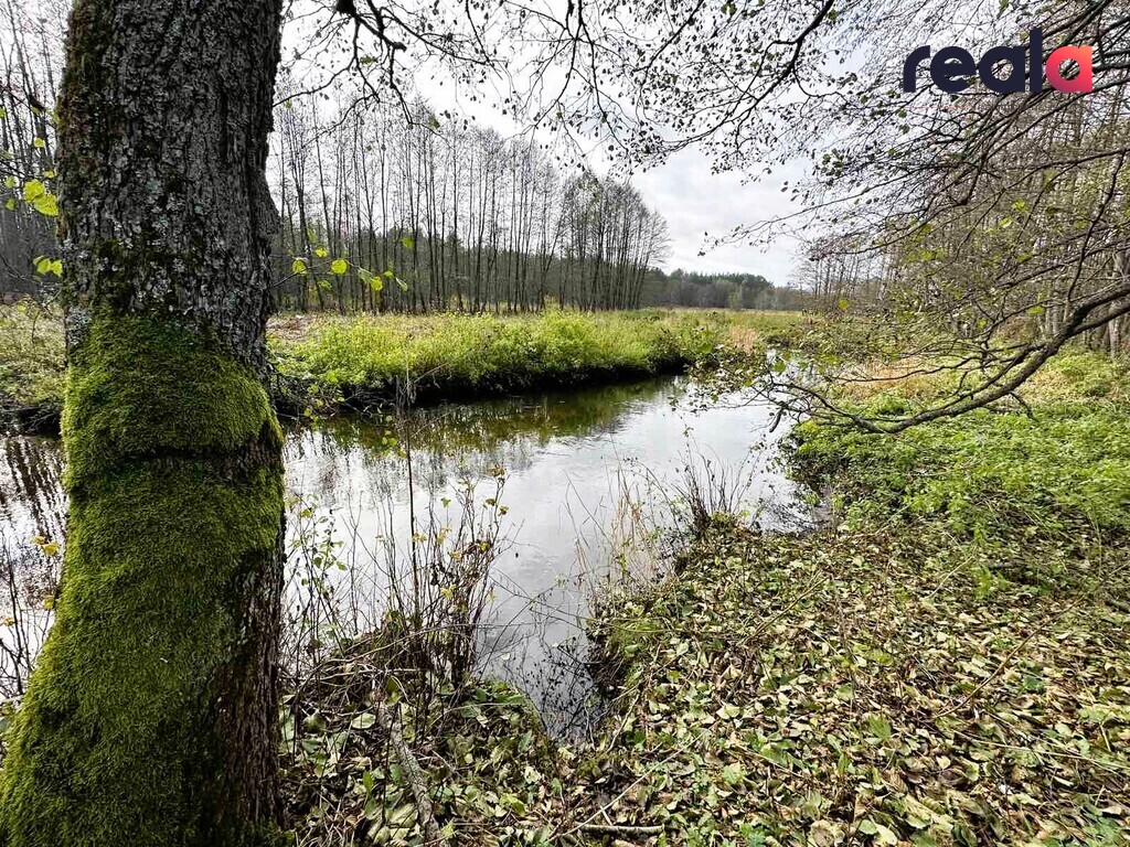Parduodamas sklypas Pačiabatų k., 115.19 a ploto