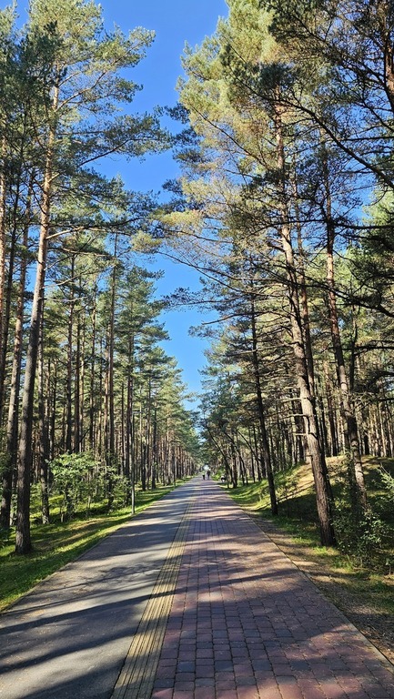 Parduodamas butas Ašaralio g., Palangoje, 