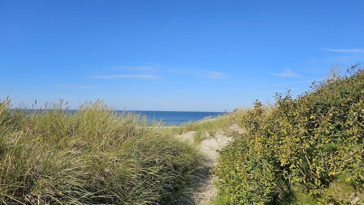 Parduodamas butas Ašaralio g., Palangoje, 