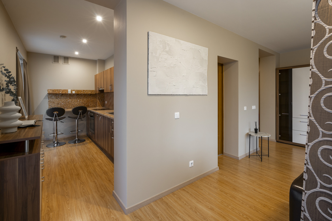 Parduodamas butas Žuvinto g., Žaliakalnyje, Kaune, 46 kv.m ploto