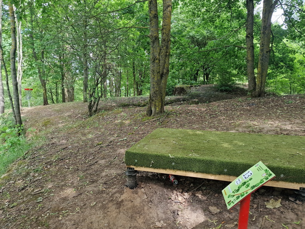 Nauji kotedžai Domeikavoje