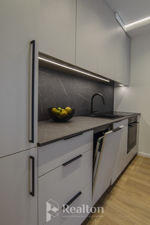 Parduodamas butas P. Vileišio g., Antakalnyje, Vilniuje, 33.15 kv.m ploto-image-270596689