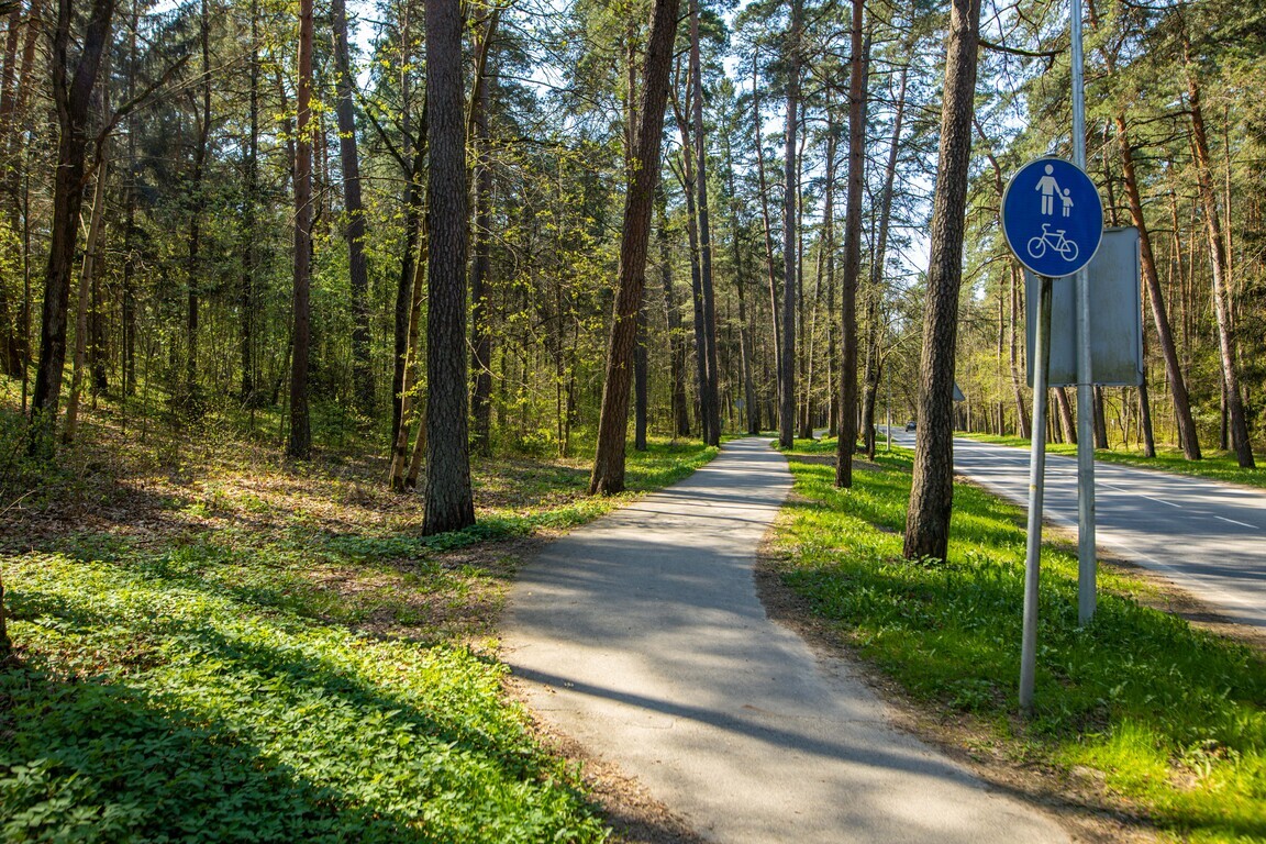 Parduodamas namas Politechnikos g., Naujasodžio k., 110 kv.m ploto