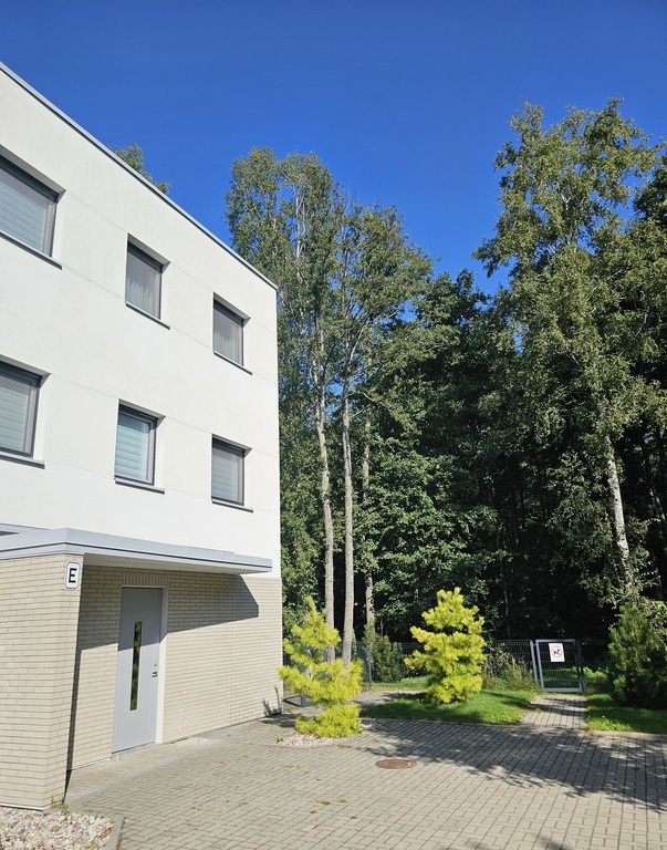 Nuomojamas butas M. Daujoto g., Palangoje, 43 kv.m ploto