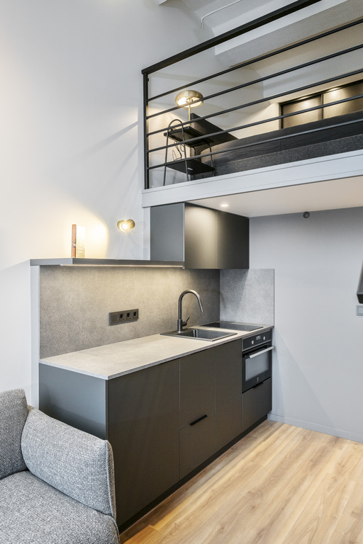 Nuomojamas butas Naugarduko g., Naujamiestyje, Vilniuje, 30 kv.m ploto-image-280161881