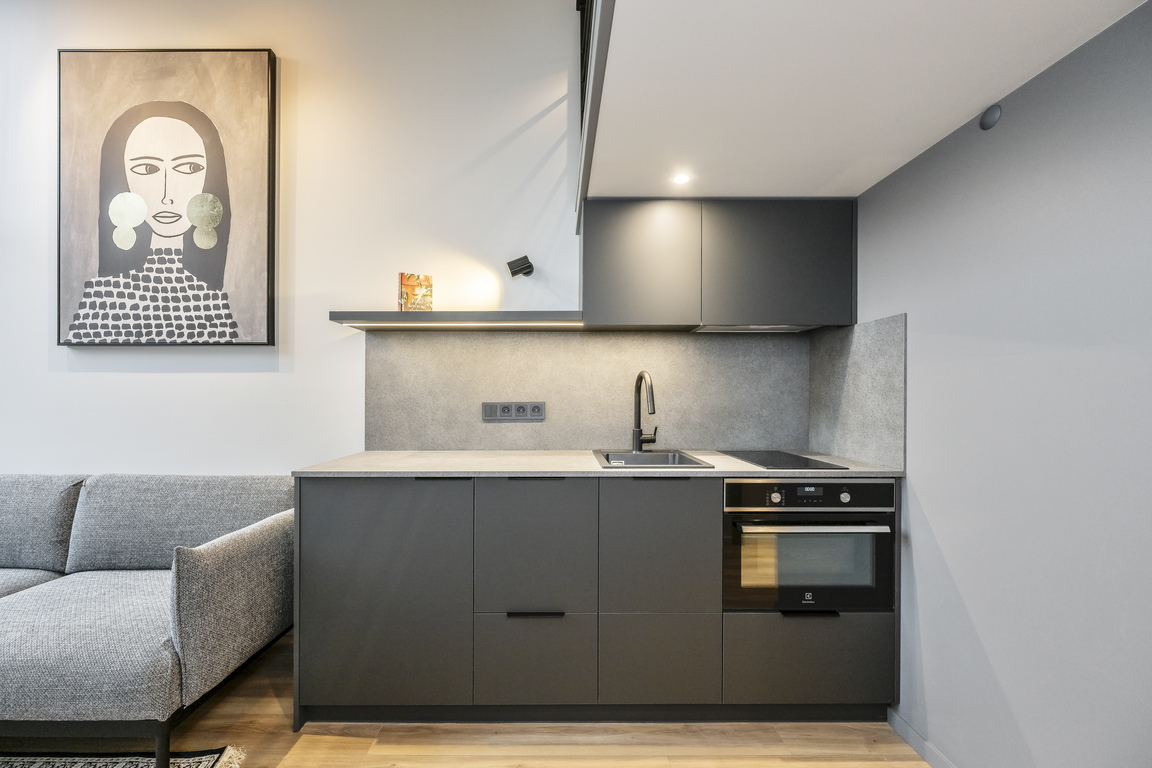 Nuomojamas butas Naugarduko g., Naujamiestyje, Vilniuje, 30 kv.m ploto-image-280161882