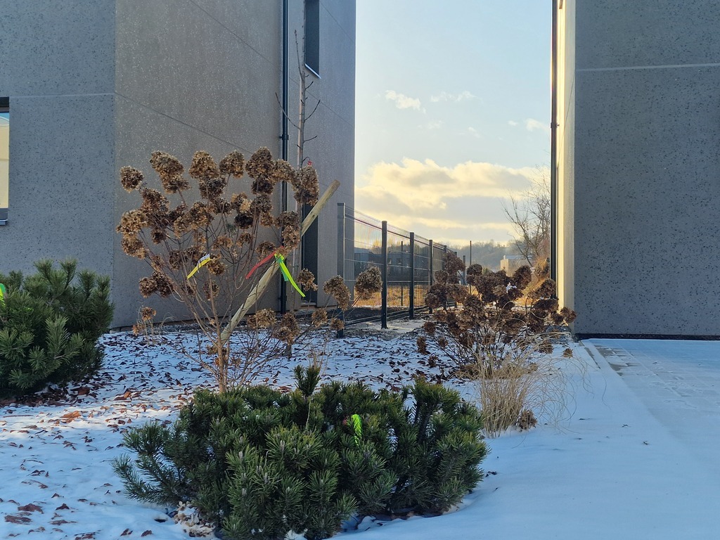 Namas Kaune prie Neries