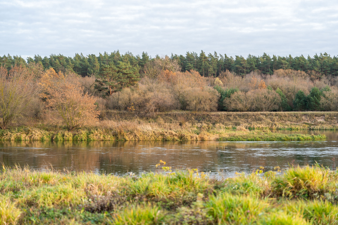 Namas Kaune prie Neries