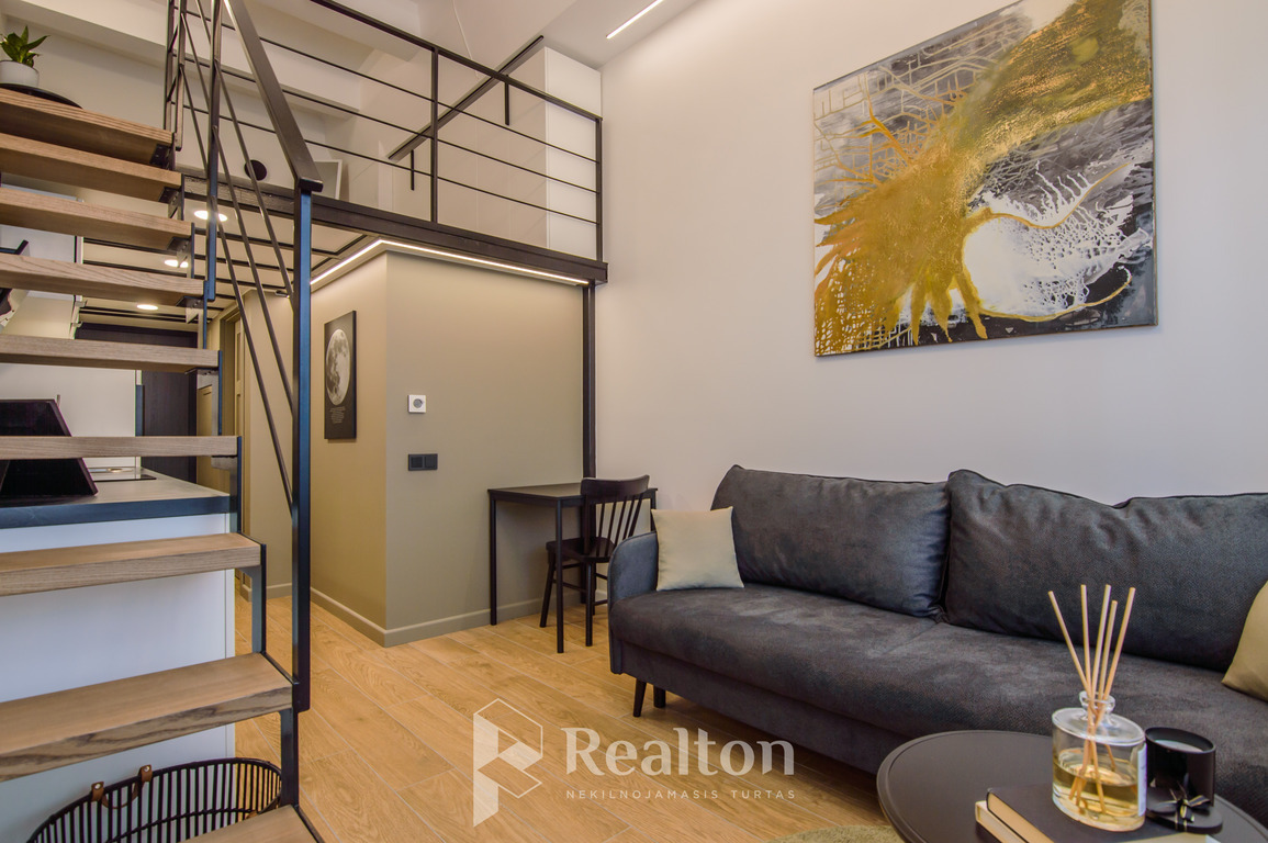 Nuomojamas butas Naugarduko g., Naujamiestyje, Vilniuje, 29 kv.m ploto-image-270593151