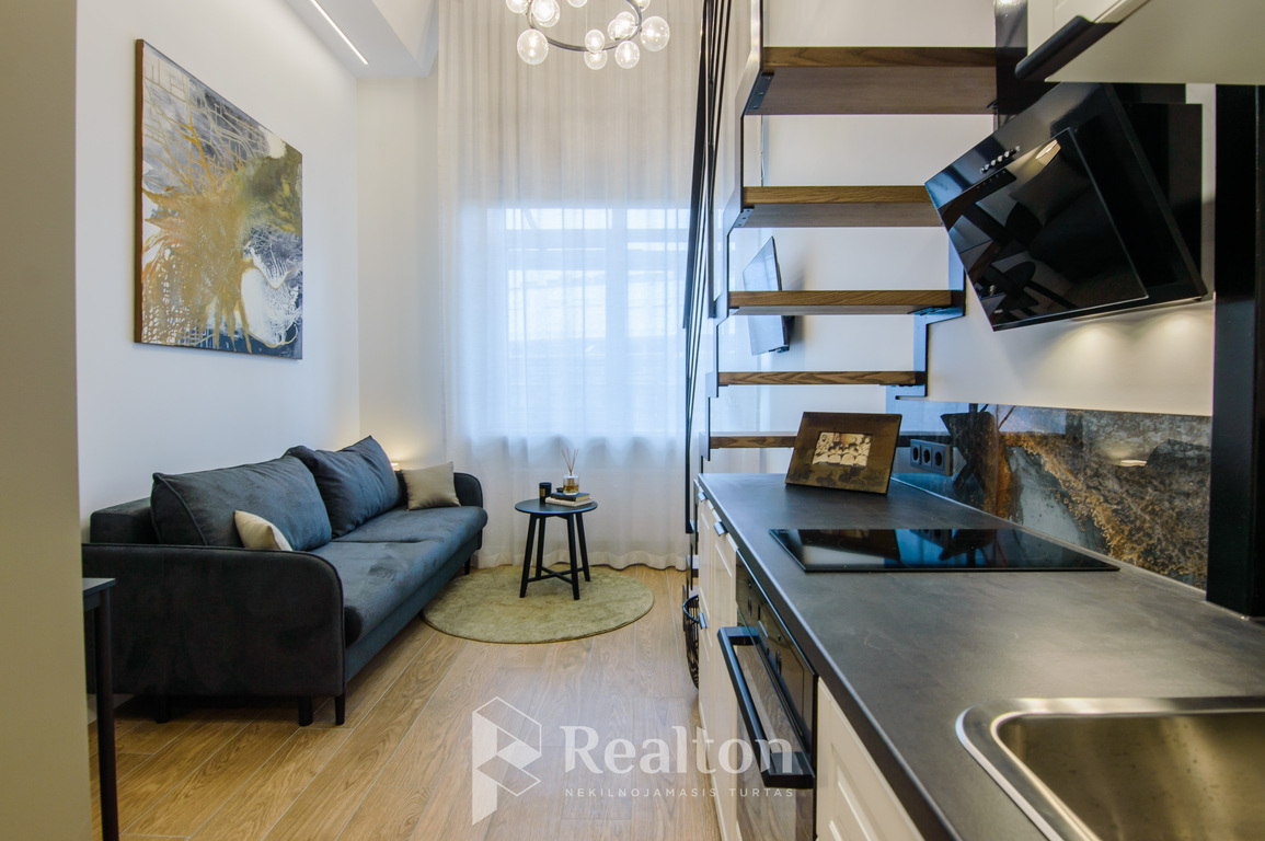 Nuomojamas butas Naugarduko g., Naujamiestyje, Vilniuje, 29 kv.m ploto-image-270593153