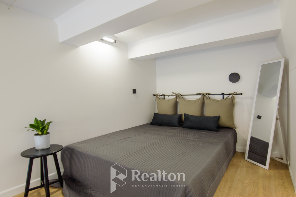 Nuomojamas butas Naugarduko g., Naujamiestyje, Vilniuje, 29 kv.m ploto-image-270593162