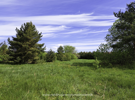 Parduodamas sklypas Baltų g., Palangoje, 16 a ploto - photo 5