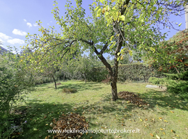 Parduodamas namas Pušyno al., Rastinėnų k., 45 kv.m ploto - more photos