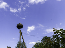Parduodamas namas Žuvinčių k., 76 kv.m ploto - photo 4