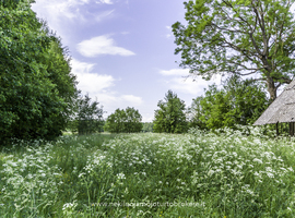 Parduodamas namas Žuvinčių k., 76 kv.m ploto - photo 12