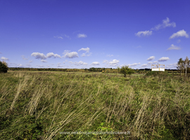 Parduodamas sklypas Pasieniečių g., Skėterių k., 32 a ploto - photo 12