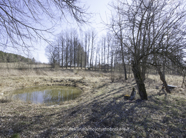 Parduodamas namas Piliakalnio g., Krištapiškių k., 59 kv.m ploto - photo 12