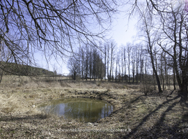 Parduodamas namas Piliakalnio g., Krištapiškių k., 59 kv.m ploto - photo 14