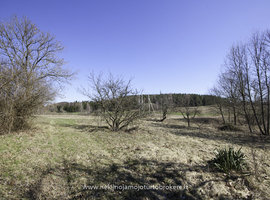 Parduodamas namas Piliakalnio g., Krištapiškių k., 59 kv.m ploto - photo 23