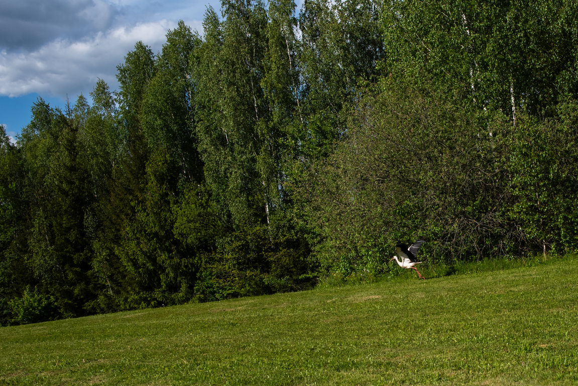Parduodamas namas 71 kv.m ploto, 1 aukštai