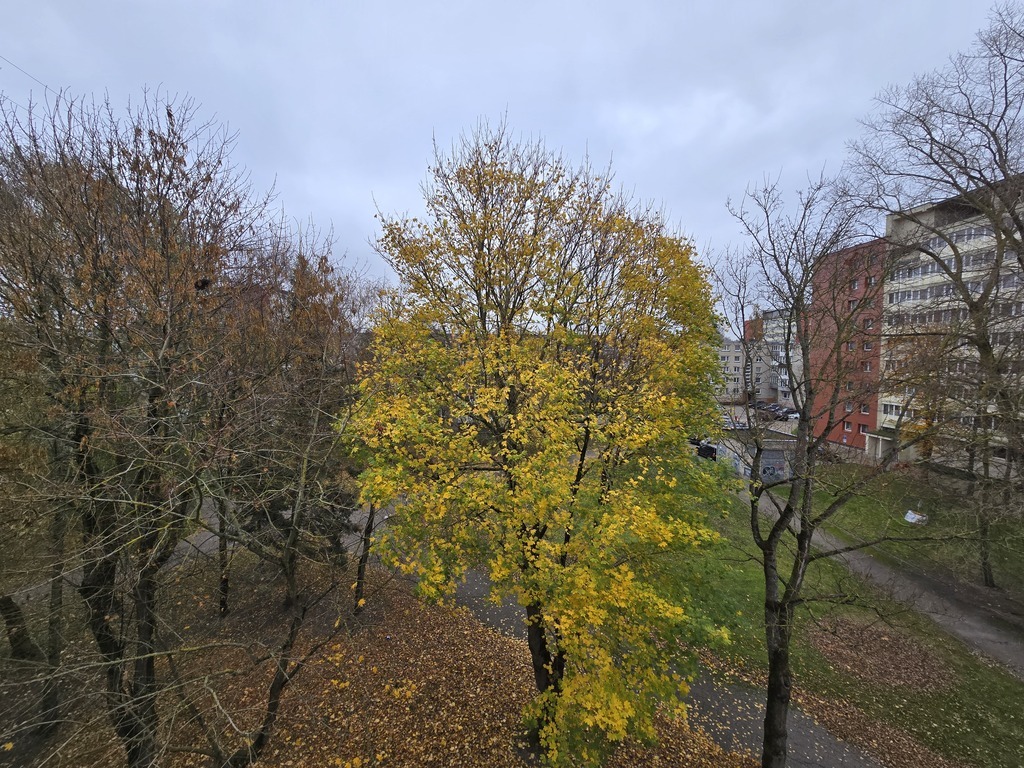 Parduodamas butas Baltijos pr., Baltijos r., Klaipėdoje, 47 kv.m ploto