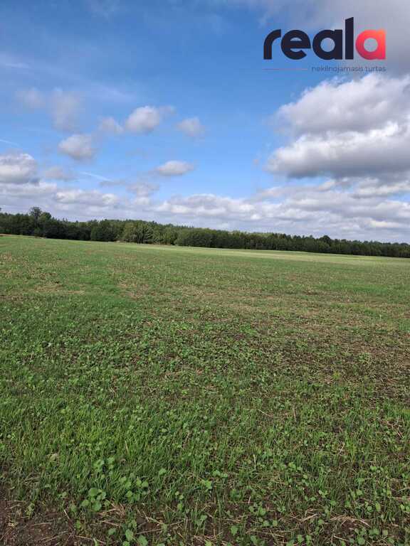 Parduodamas sklypas Viršužiglio k., 160 a ploto