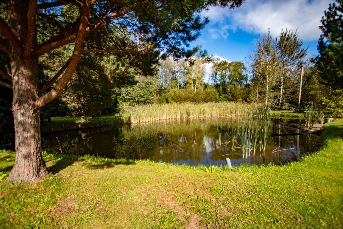 Namas, Norkūnų g., Lašų k.