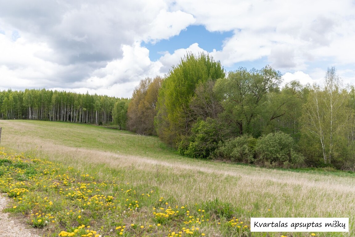 Parduodamas sklypas Antakščių k., 38 a ploto