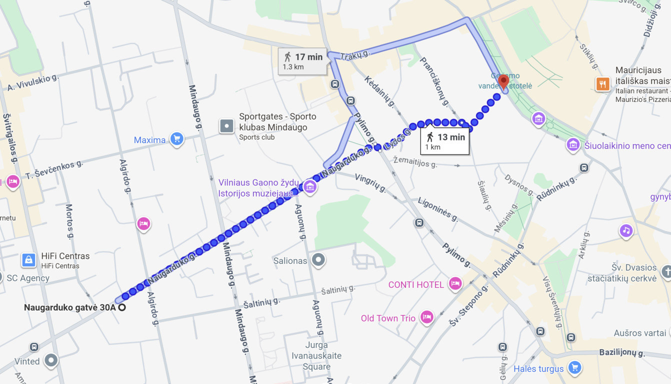 Nuomojamas butas Naugarduko g., Naujamiestyje, Vilniuje, 41.9 kv.m ploto-image-273539782