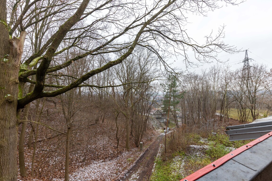 Parduodamas namas Dusetų g., Žaliakalnyje, Kaune, 393.81 kv.m ploto