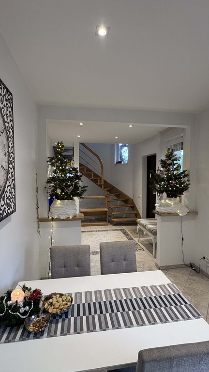 PARDUODAMAS NAMAS VAIDOTO G., PANEMUNĖJE, KAUNE