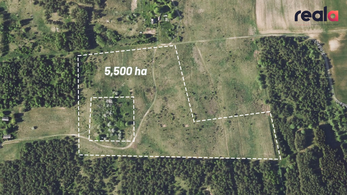 Parduodamas sklypas Pasamavio k., 550 a ploto