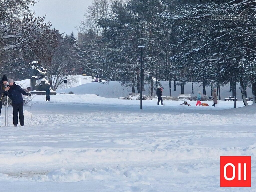 Naujas butas su vaizdu į parką