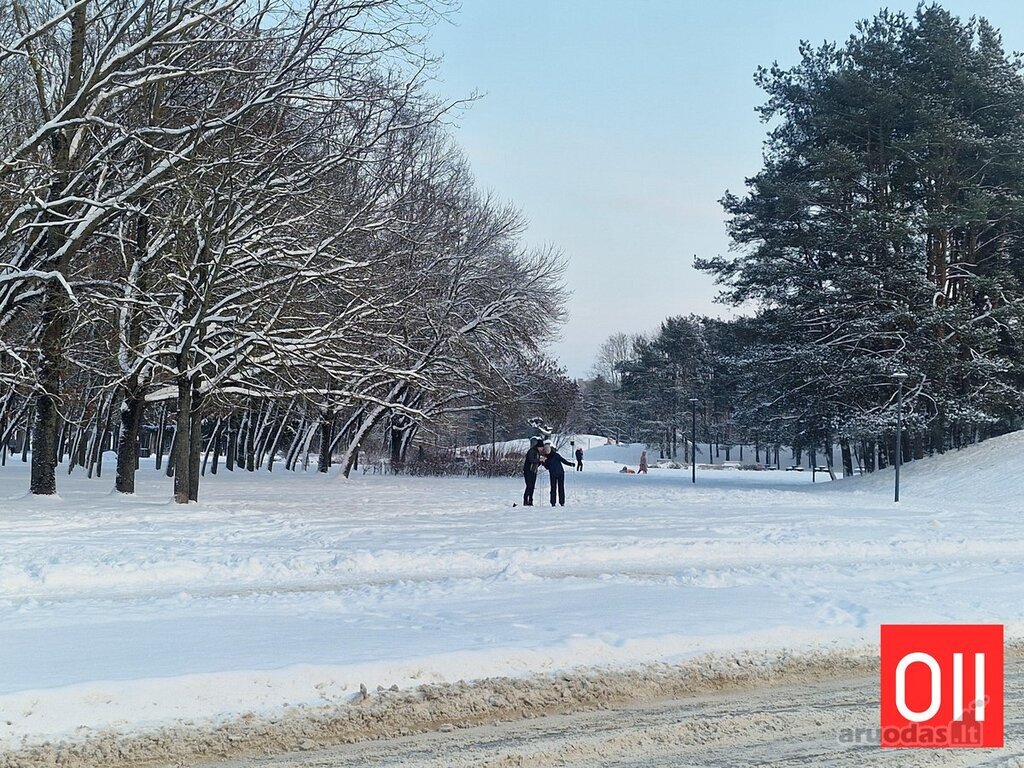 Naujas butas su vaizdu į parką
