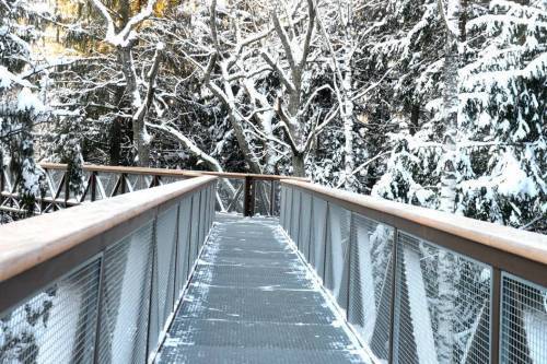 Namas, Rubikių 7-oji g., Keblonių k.