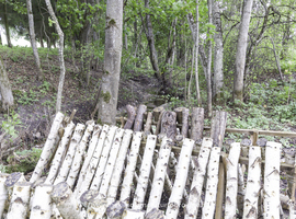 Parduodama autentiška sodyba, Prienų rajone, itin vaizdingoje vietovėje - photo 14