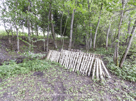 Parduodama autentiška sodyba, Prienų rajone, itin vaizdingoje vietovėje - photo 13