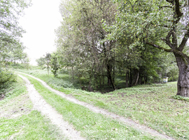 Parduodama autentiška sodyba, Prienų rajone, itin vaizdingoje vietovėje - photo 35