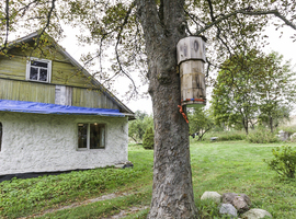 Parduodama autentiška sodyba, Prienų rajone, itin vaizdingoje vietovėje - photo 46