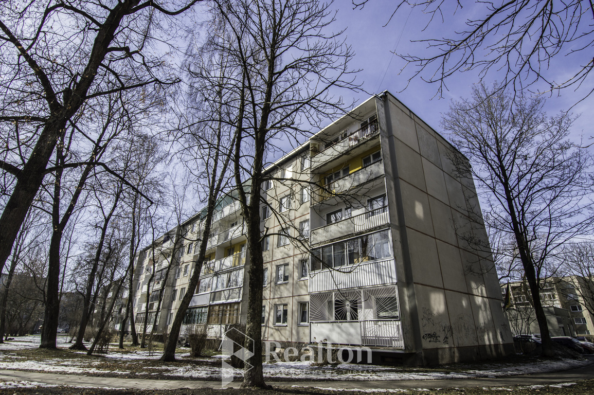 Parduodamas šviesus ir tvarkingas dviejų kambarių butas Naujamiestyje-image-285864309