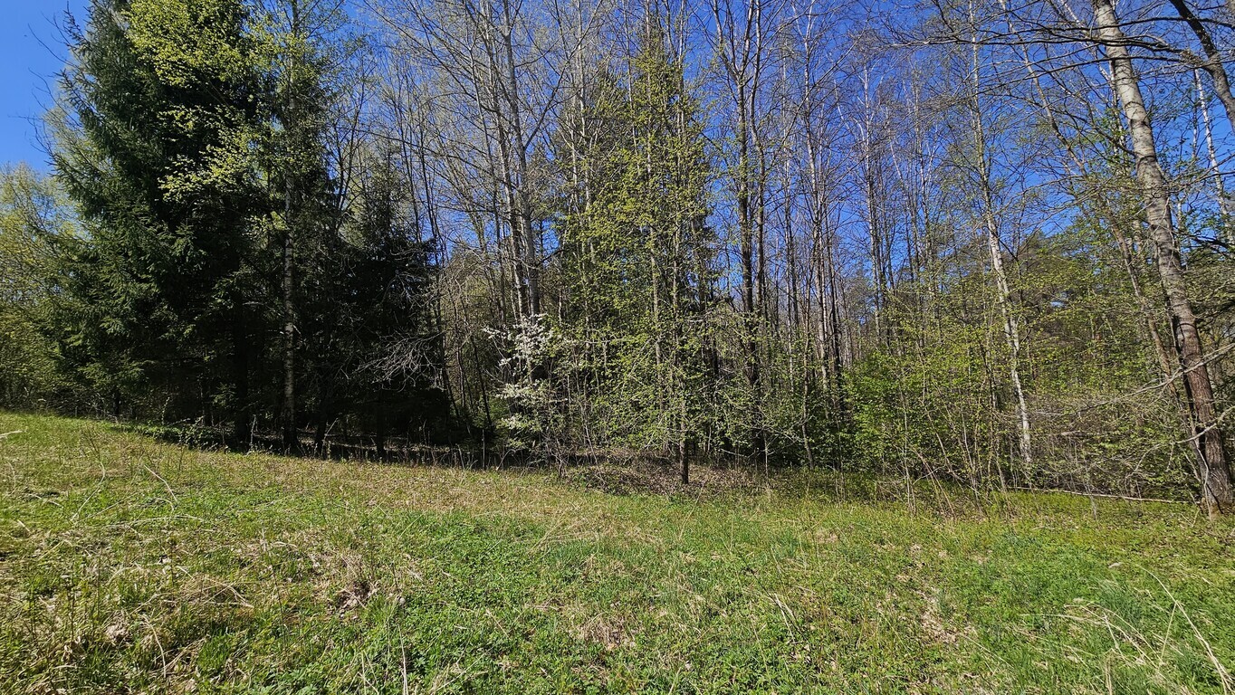Parduodamas sklypas Zundų 1-oji g., Šepečių k., 6 a ploto-image-290461726