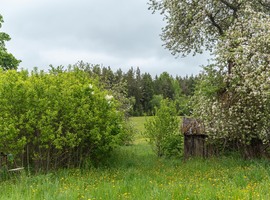 Photo 7