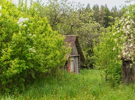 Photo 7