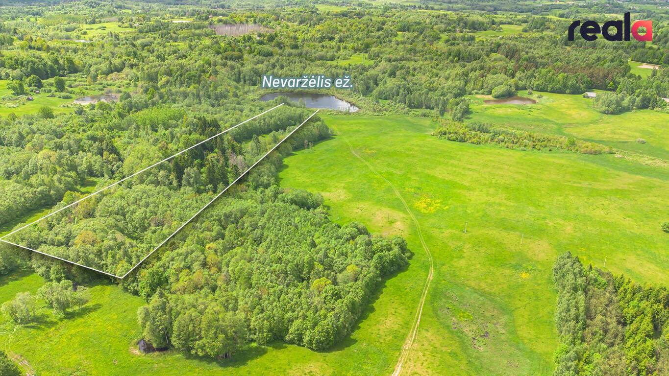 Parduodamas sklypas Paneveržio k., 243 a ploto