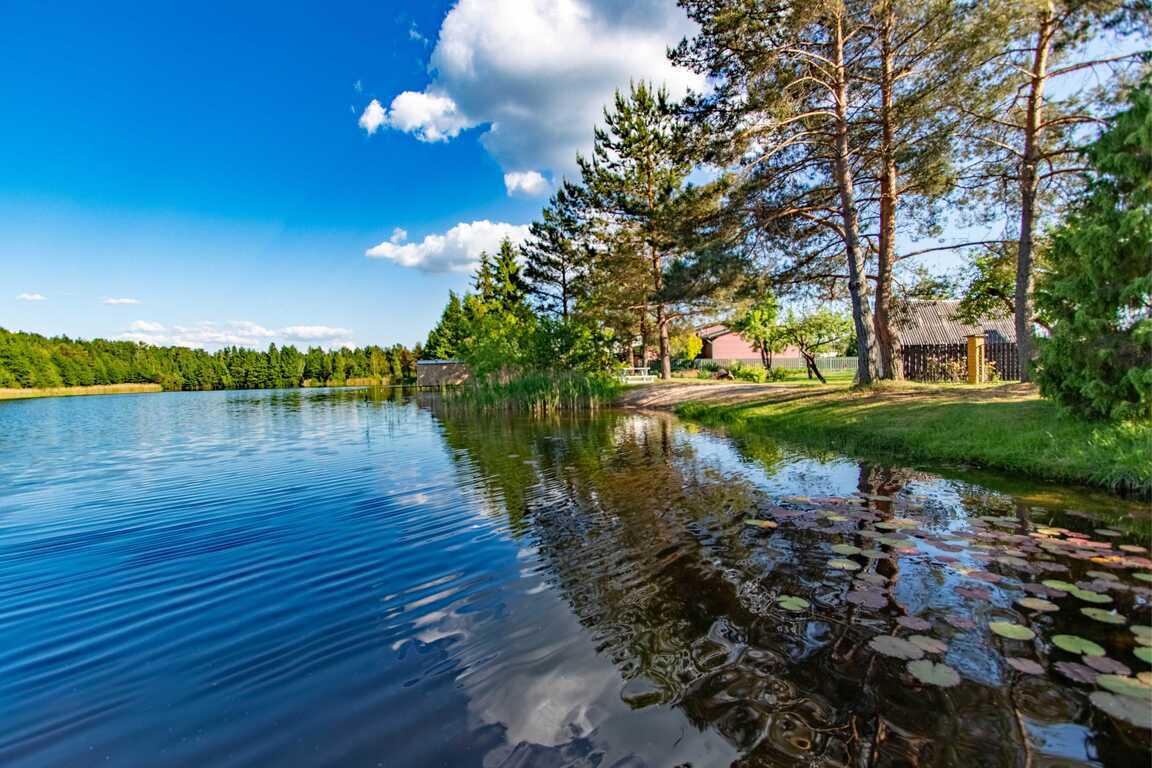 Namas, Bebrų g., Startų k.