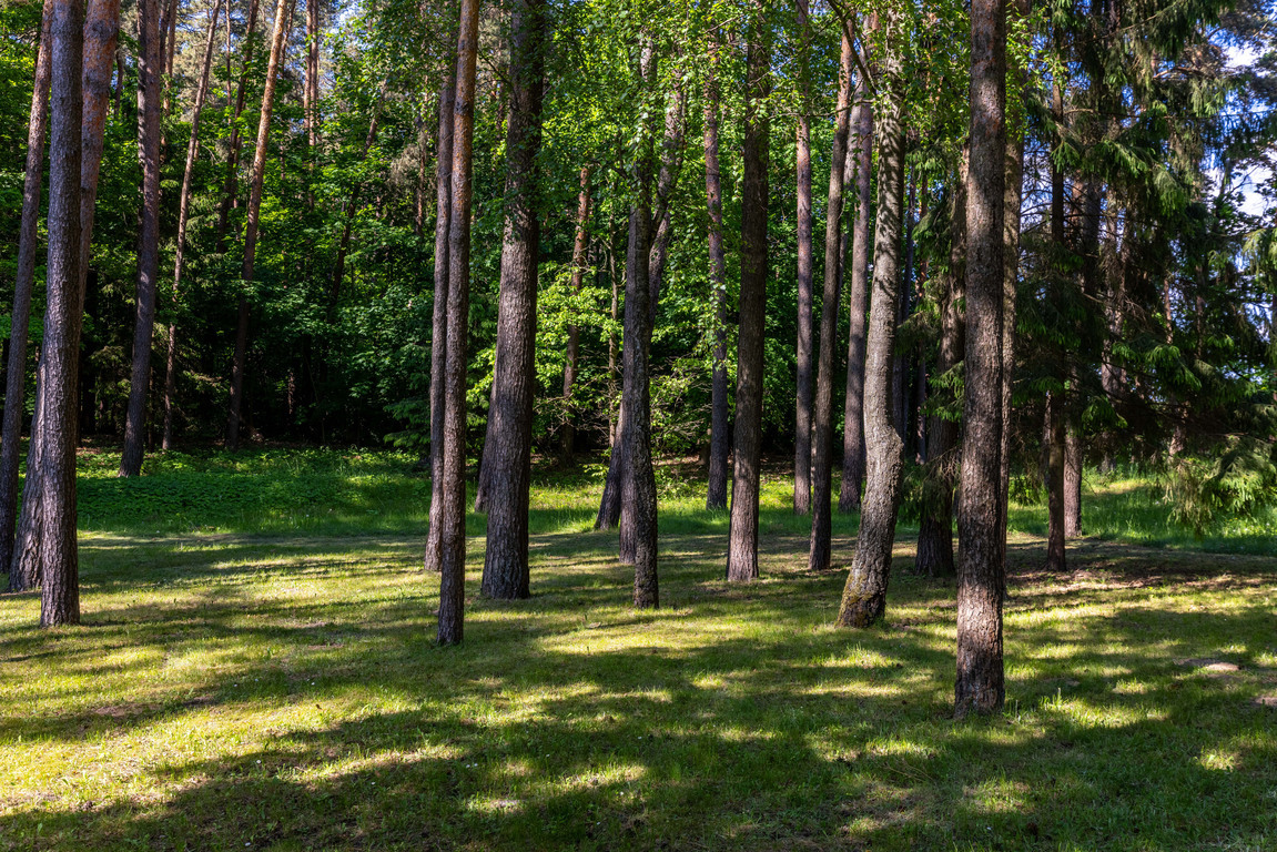 Parduodamas namas Saulės g., Drąseikiai, 150 kv.m ploto