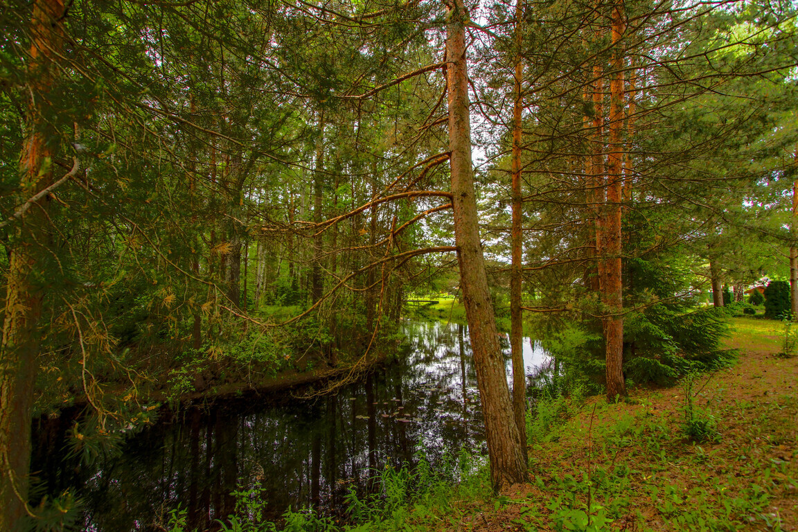 Namas, Riešutų g., Pagiegalos k.