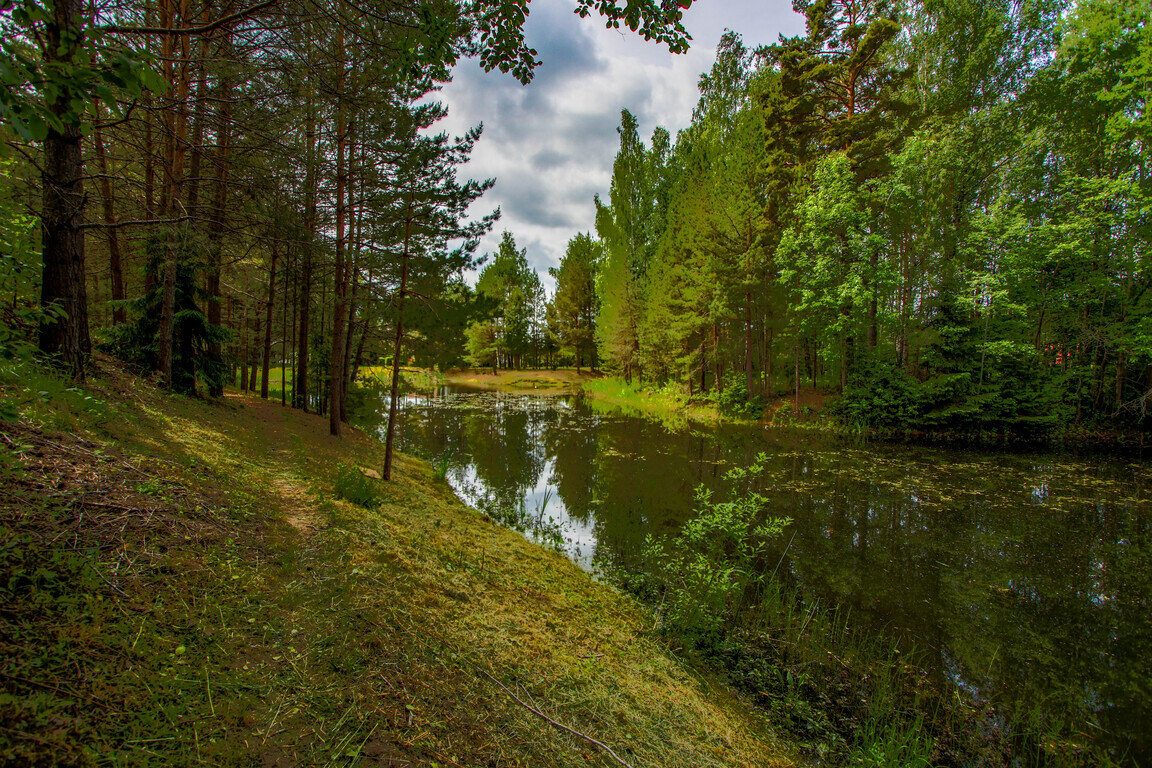 Namas, Riešutų g., Pagiegalos k.