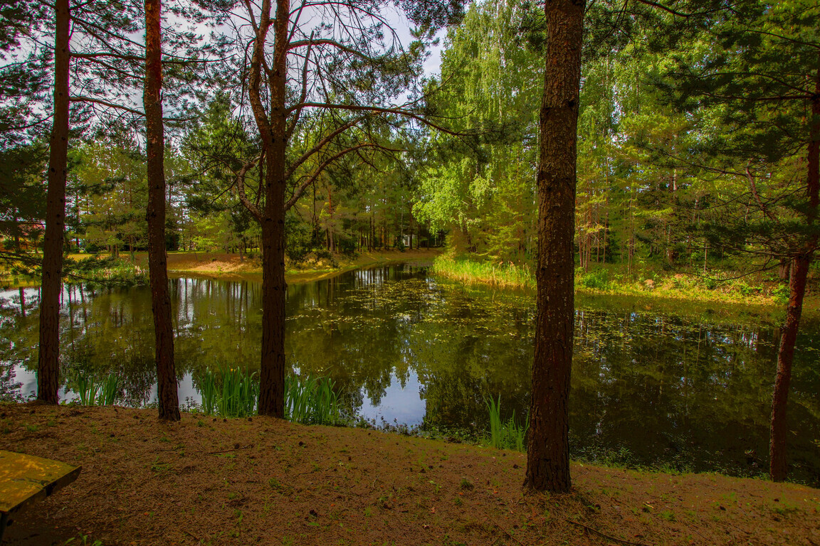 Namas, Riešutų g., Pagiegalos k.